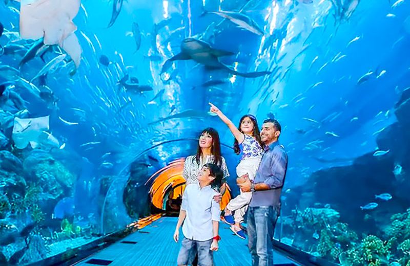 Dubai-Aquarium-and-Underwater-Zoo