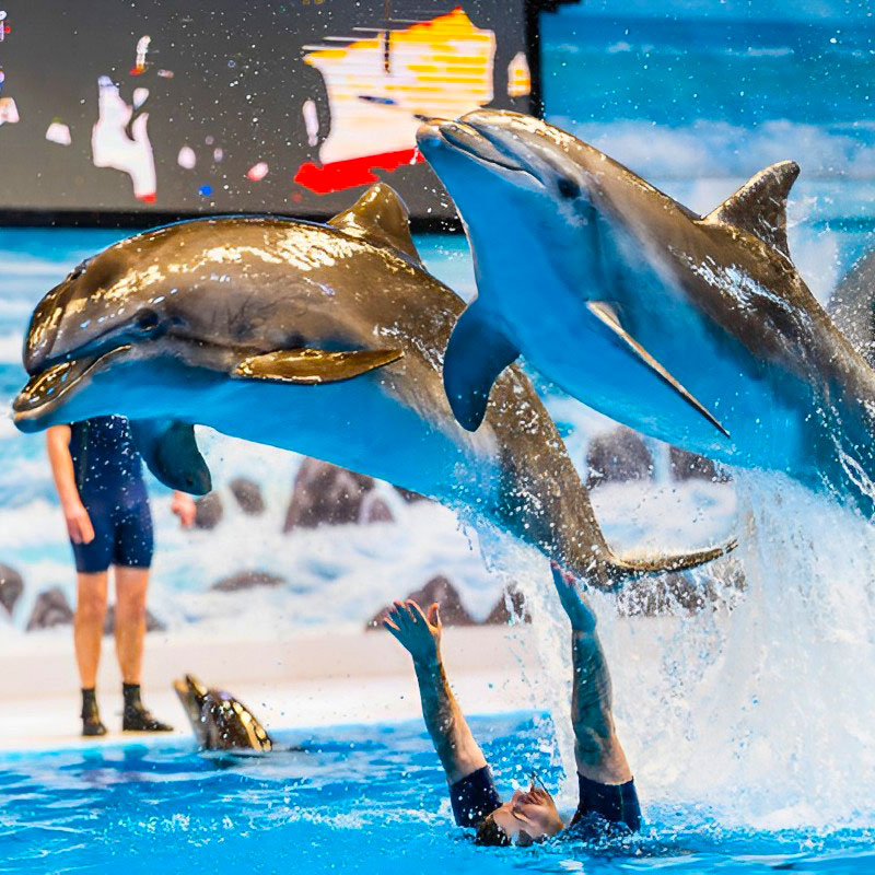 Dubai-Dolphinarium