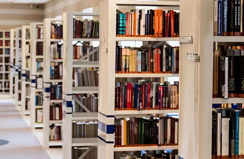 Hor-Al-Anz-library