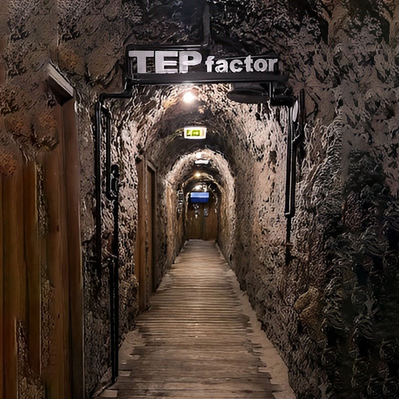 TEP-factor