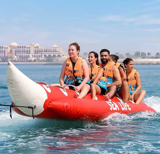 Al Hamra Watersports – Sea Life Adventure, Ras Al Khaimah